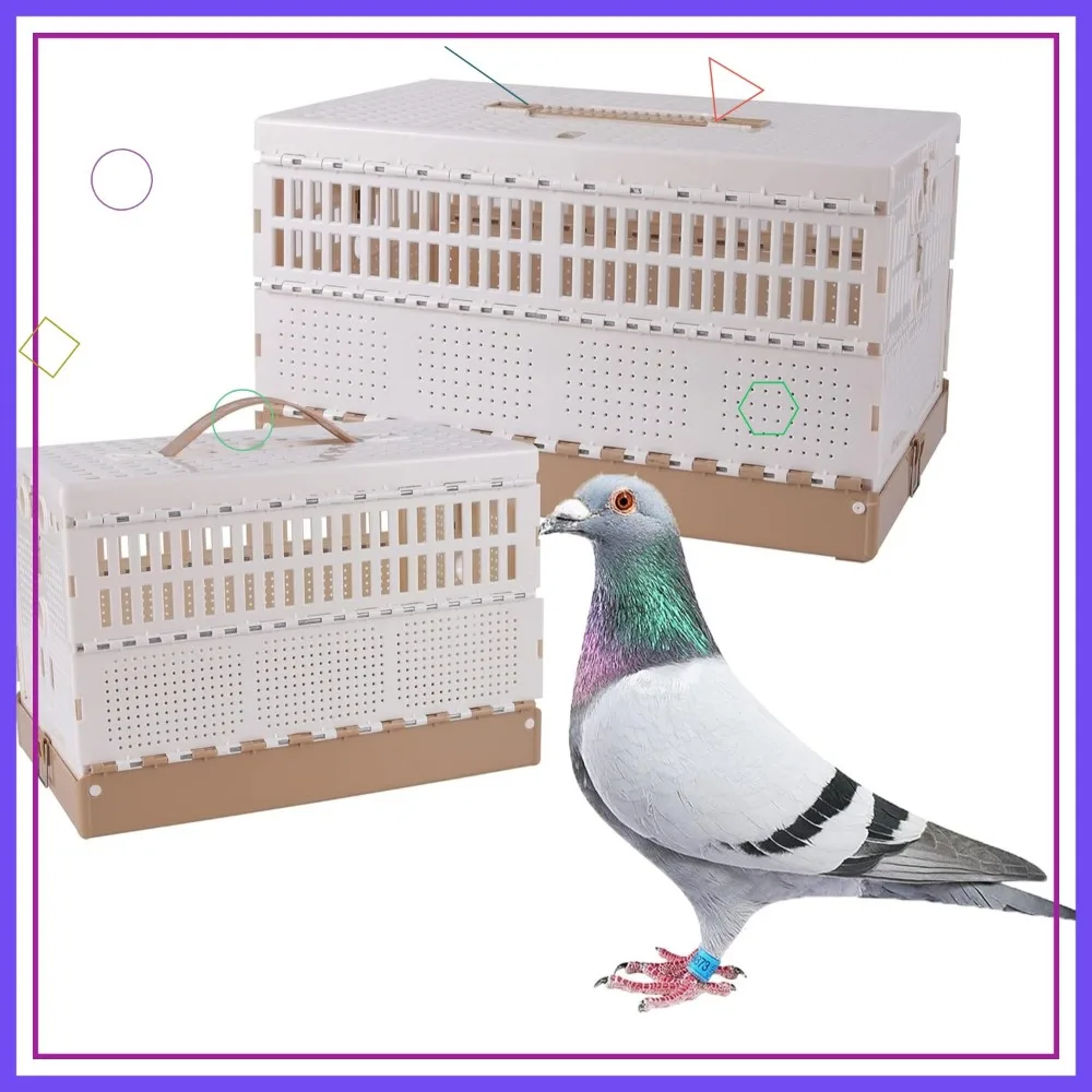 

Plastic Foldable Pigeon Cage with Handle, Portable Bird Travel Carrier, 3-Door Pairing & Nest Box for Training Release