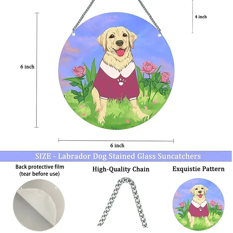 صائدة شمس بومة أكريليك للنوافذ وغرف المنزل ، ديكور ملون ، قلادة معلقة على الحائط ، إضاءة ملونة ، زخارف حدائق ، هدايا