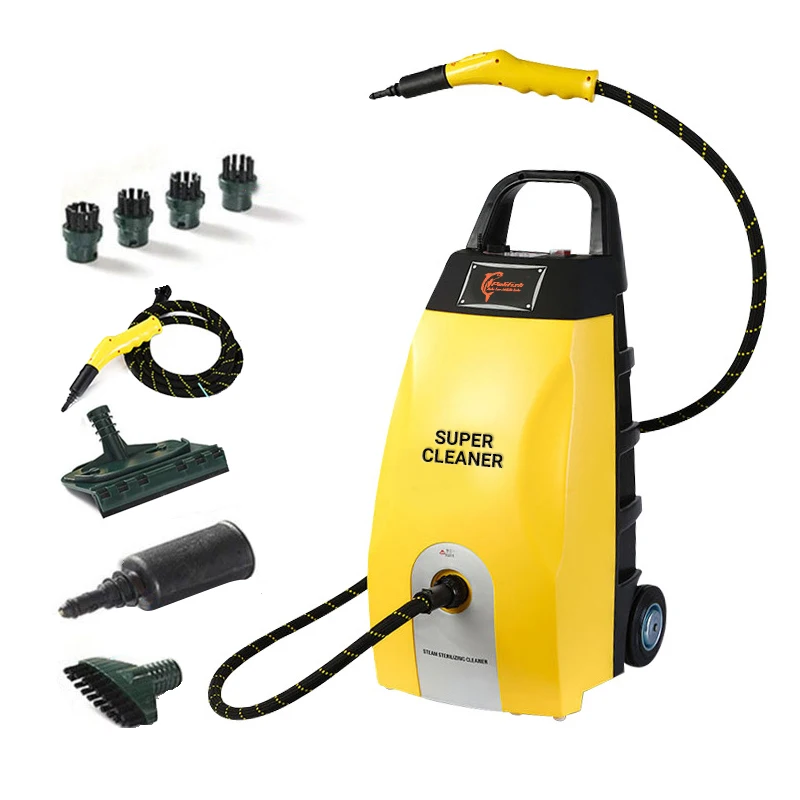 

professional 3000W 6bar sterilization and mite removal high pressure high temperature steam cleaning machine