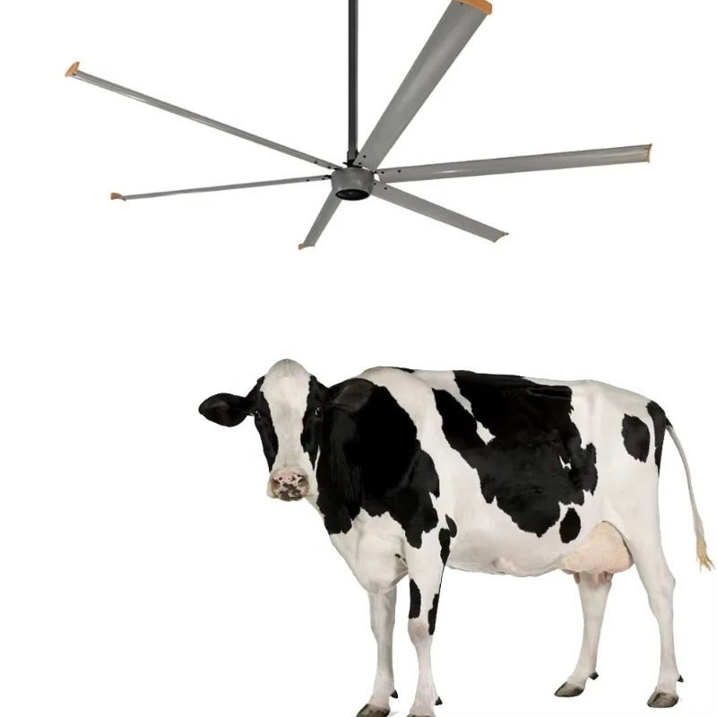 

Giant 12-foot 7.3-meter 750-watt big butt fan electric industrial ceiling fan gearless motor
