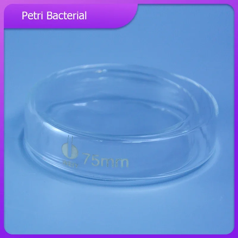 60mm/75mm/90mm/120mm/150mm Petri Bacterial Culture Dish Borosilicate 3.3 Glass Laboratory Chemistry Equipment