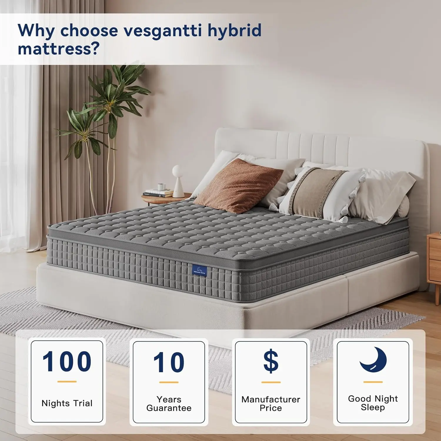 Matelas Queen Hybride Multicouche de 10 Pouces, Plusieurs Styles TAN& Disponibles, Design Ergonomique avec Mousse à Mémoire de Forme et Sprin de Poche