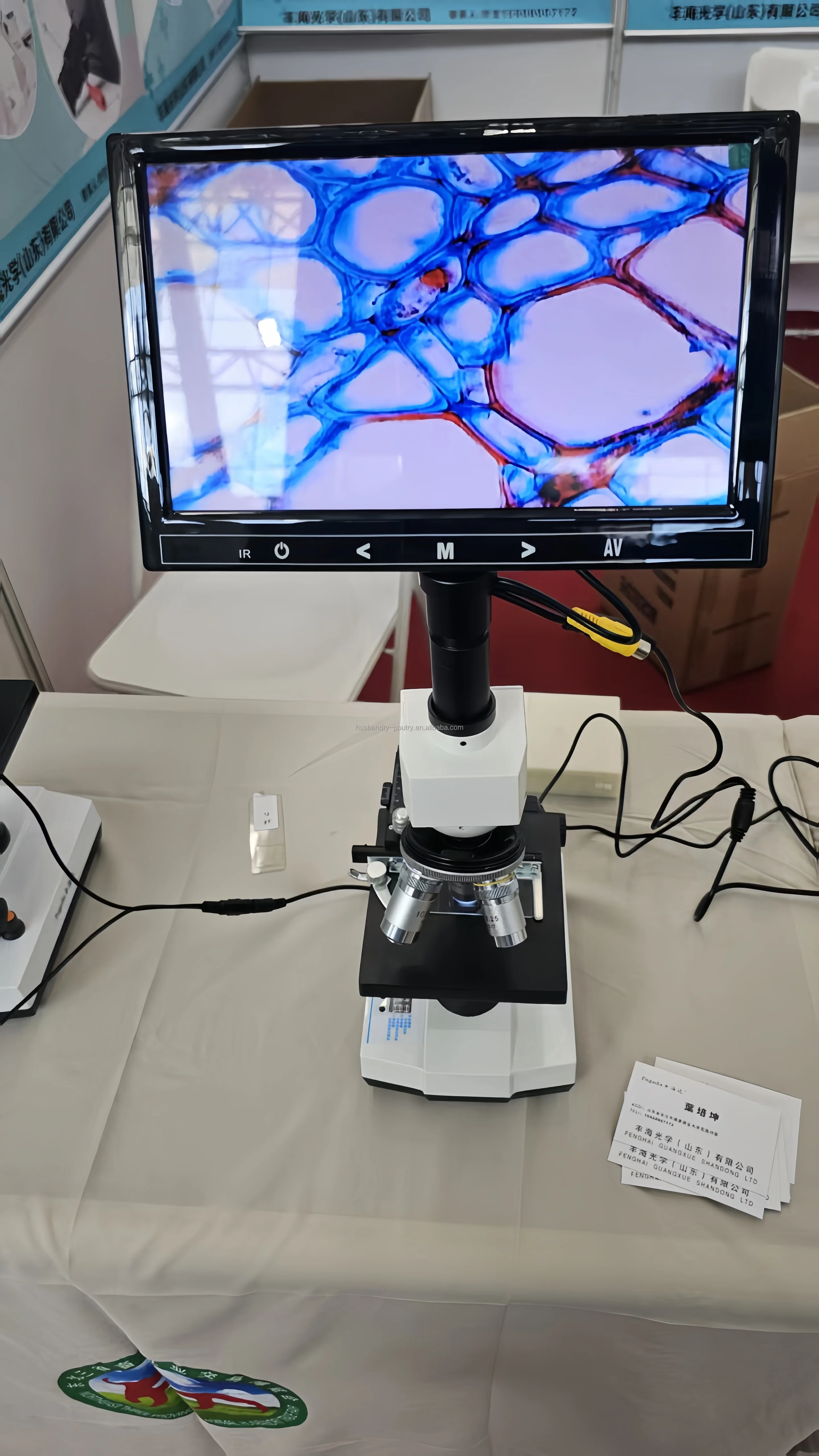 Horse Microscope Rabbit Biological Microscope Animal Artificial Insemination