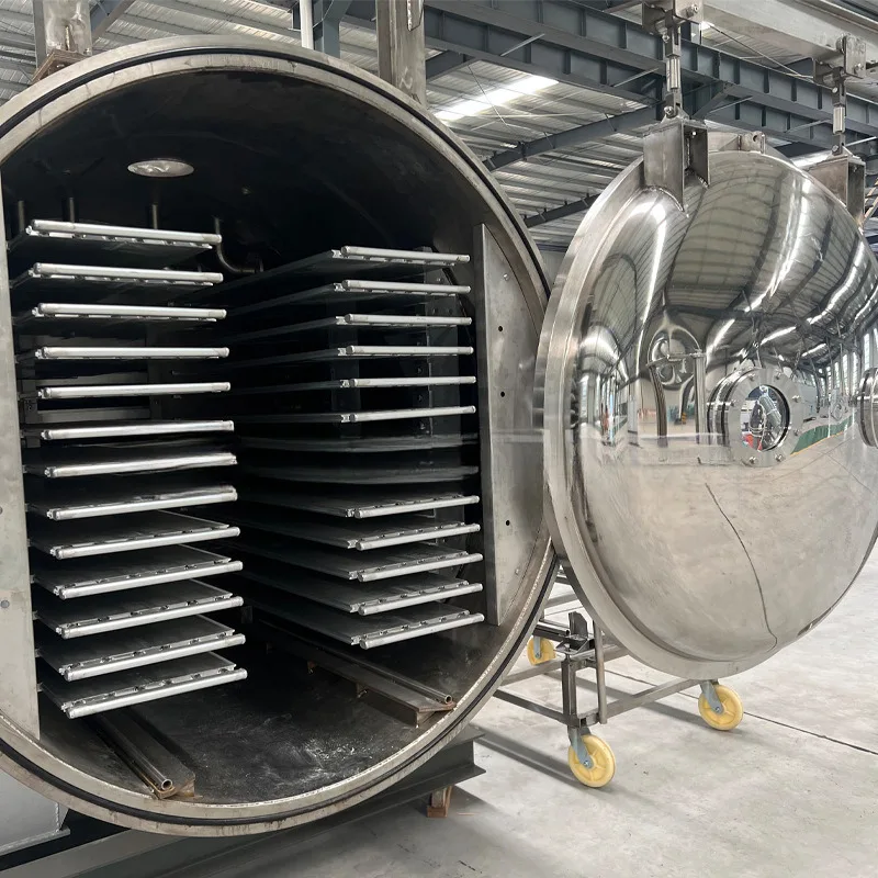 الفراولة التوت الفاكهة والخضروات هش الأرز الدبق هش FD درجة حرارة منخفضة فراغ تجميد مجفف #3