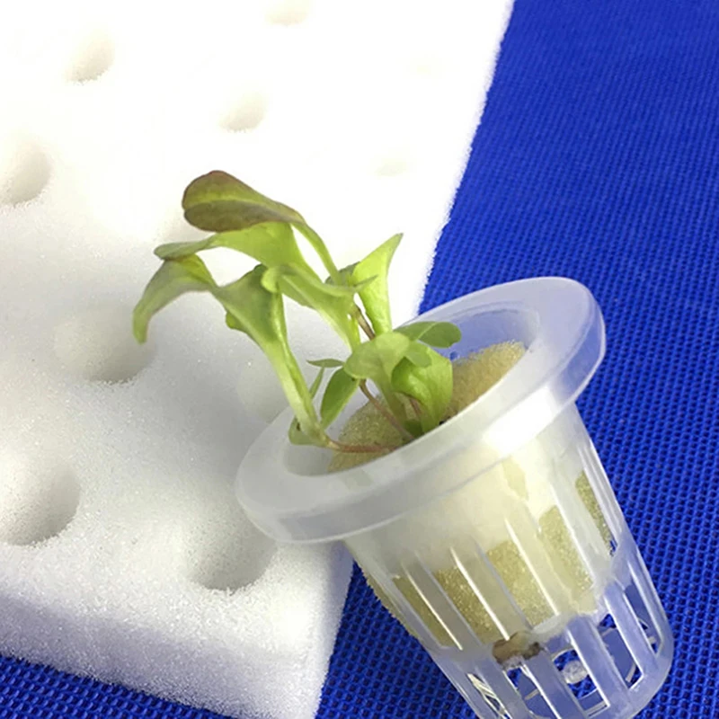 

100pcs Hydroponic Vegetables Nursery Pots White Seedling Sponge Soilless