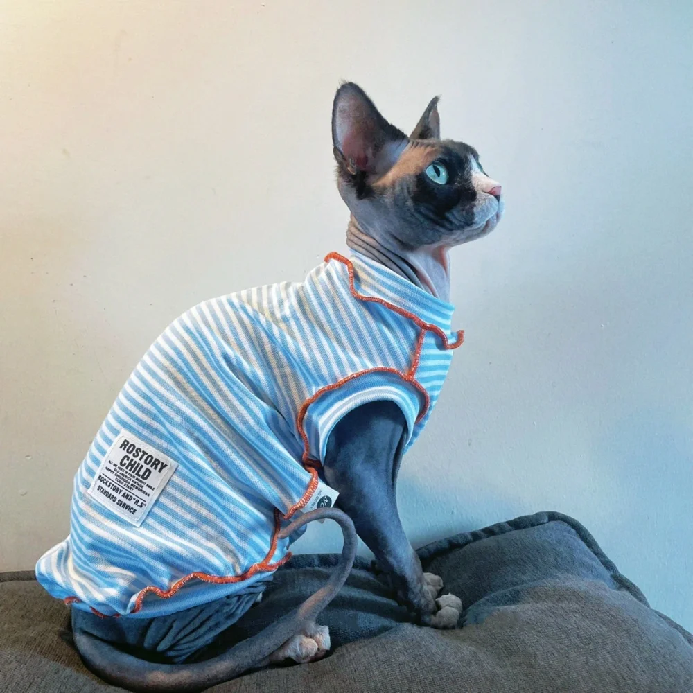 Blue Striped Short Sleeves T-shirt for Male Cats in Spring Cotton Sweet Summer Jumpsuit for Devon Rex Summer Vest for Sphynx Cat