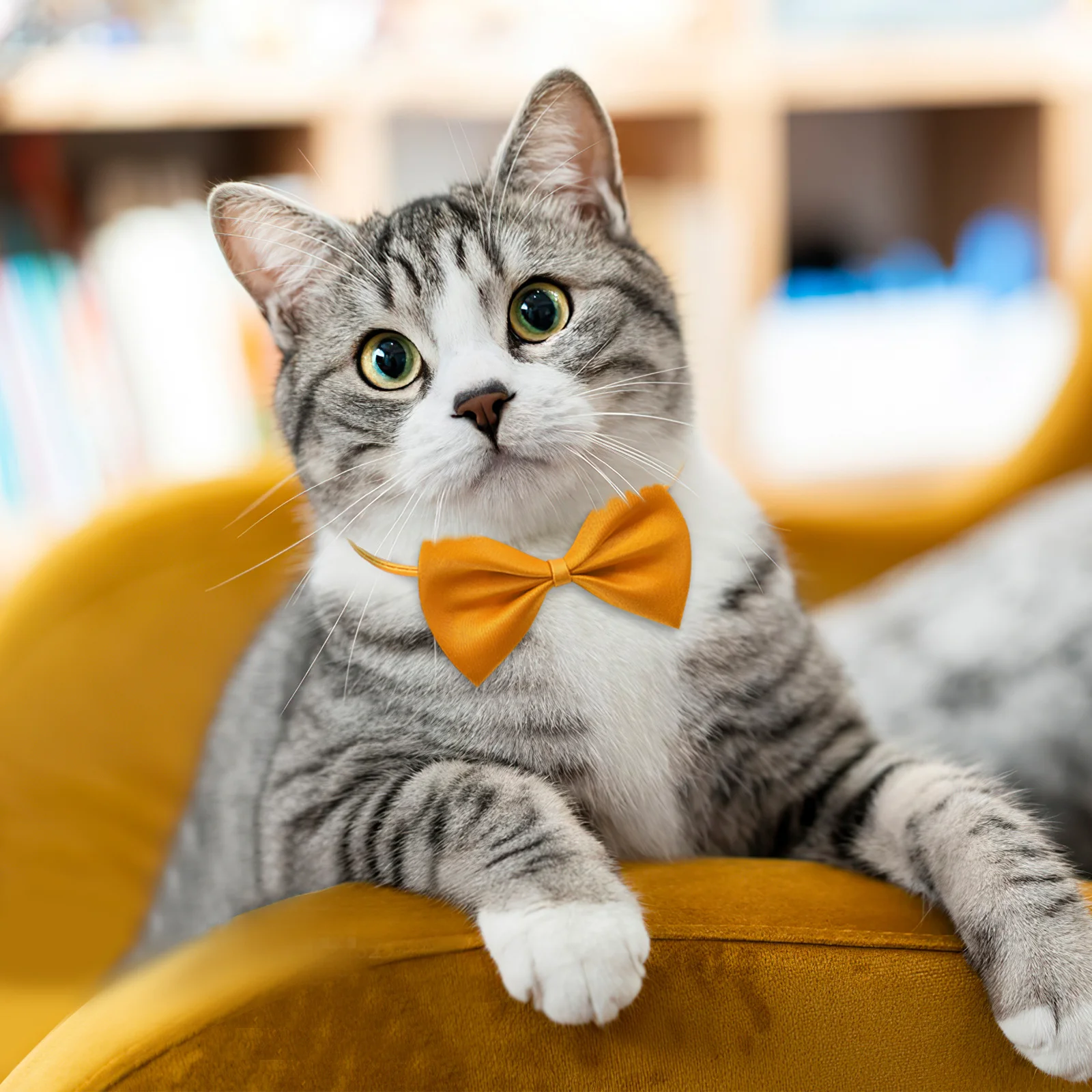 

10Pcs Adjustable Pet Collar Dog Bows Cat Bow Tie Durable Fabric Stylish Wear Dog Bows Pet Bow Tie Cat Collar Puppy Collars