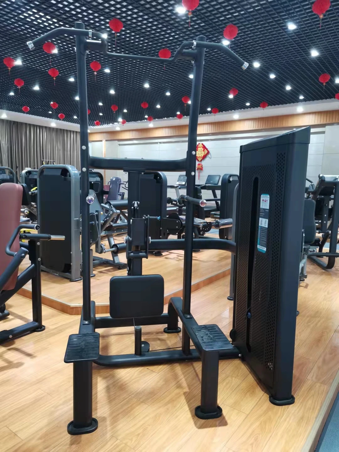 Commercial Pin Loaded Selection Dip/Chin Assisted Chin Pull Up Machine For Body Building Machine