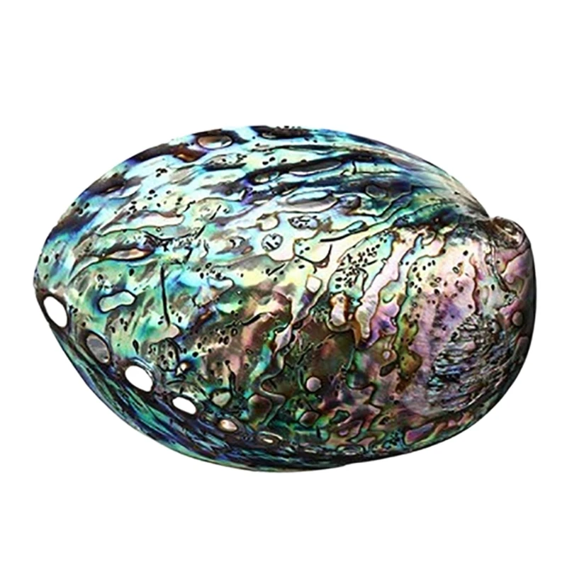 Natürliche Abalone-Muschel, geschälte Muschel zum Reinigen, Verschmieren, Meditation für Muschel, Kunsthandwerk, Räucherstäbchenhalter, Heim- und Raumdekoration