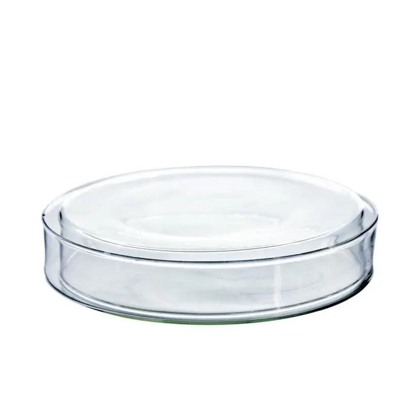 5PCS  Glass culture dish/transparent/bacterial culture/high borosilicate 120mm