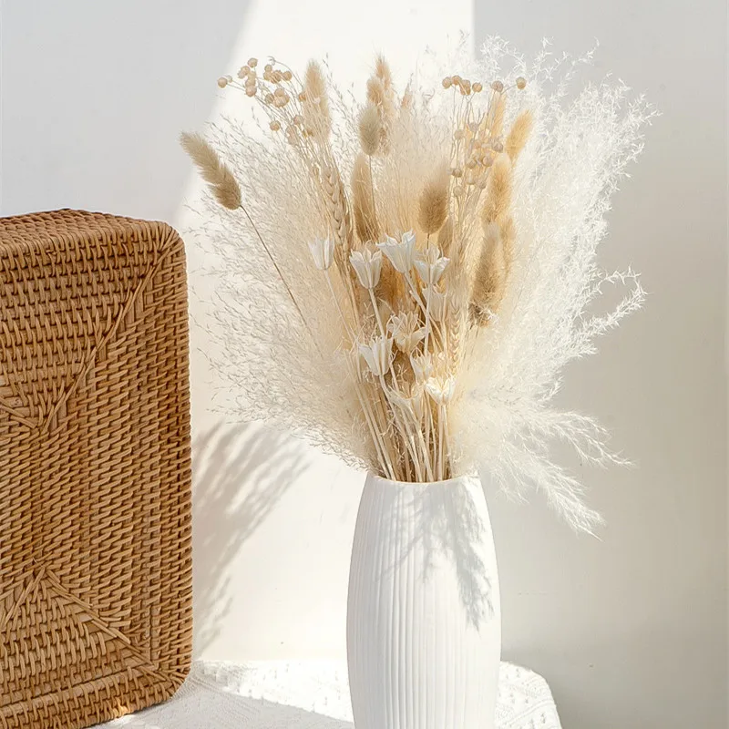 Natural Dried Flowers Fluffy Pampas Grass Bouquet Set Boho Home Decor Small Reed Birthday Wedding Decorations Ramo Flores Secas