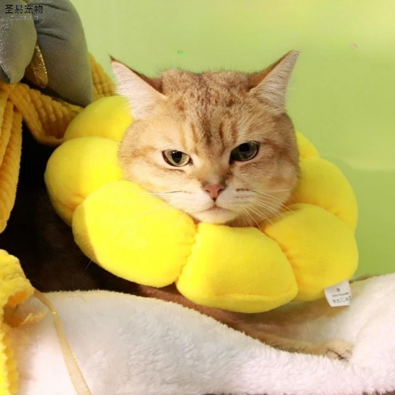 

Pet cat cone collar, cute Elizabethan cat collar, anti-biting and licking wound treatment safe cat recovery collar