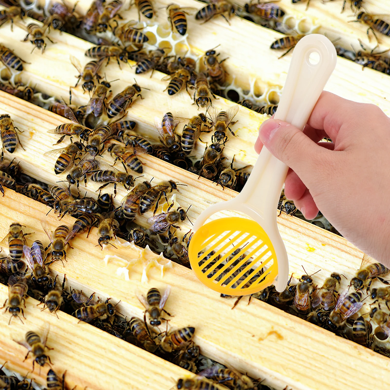 

Foldable Queen Catcher Bee Marking Cover Swarm Trap Handheld Keeping Accessories