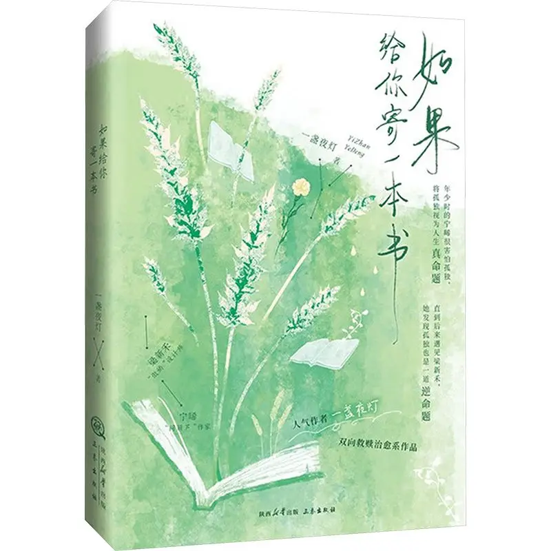 If I Send You A Book Warm Mutual Redemption Literary Modern Romance Novel