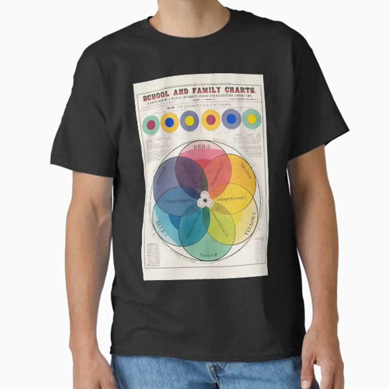 SCHOOL AND FAMILY CHARTS THE CHROMATIC SCALE OF COLORS Classic T Shirt vintage Washed Versatile Comfortable designer clothes