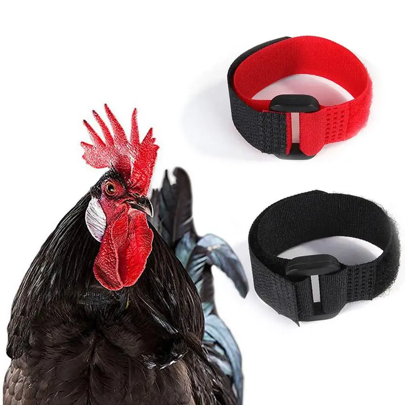 2Pcs No Crow Rooster Collar Calopsita Collar For Chicken Noise Free Anti-Hook Neckband Cock Neck Collars Noise-Free Supplies