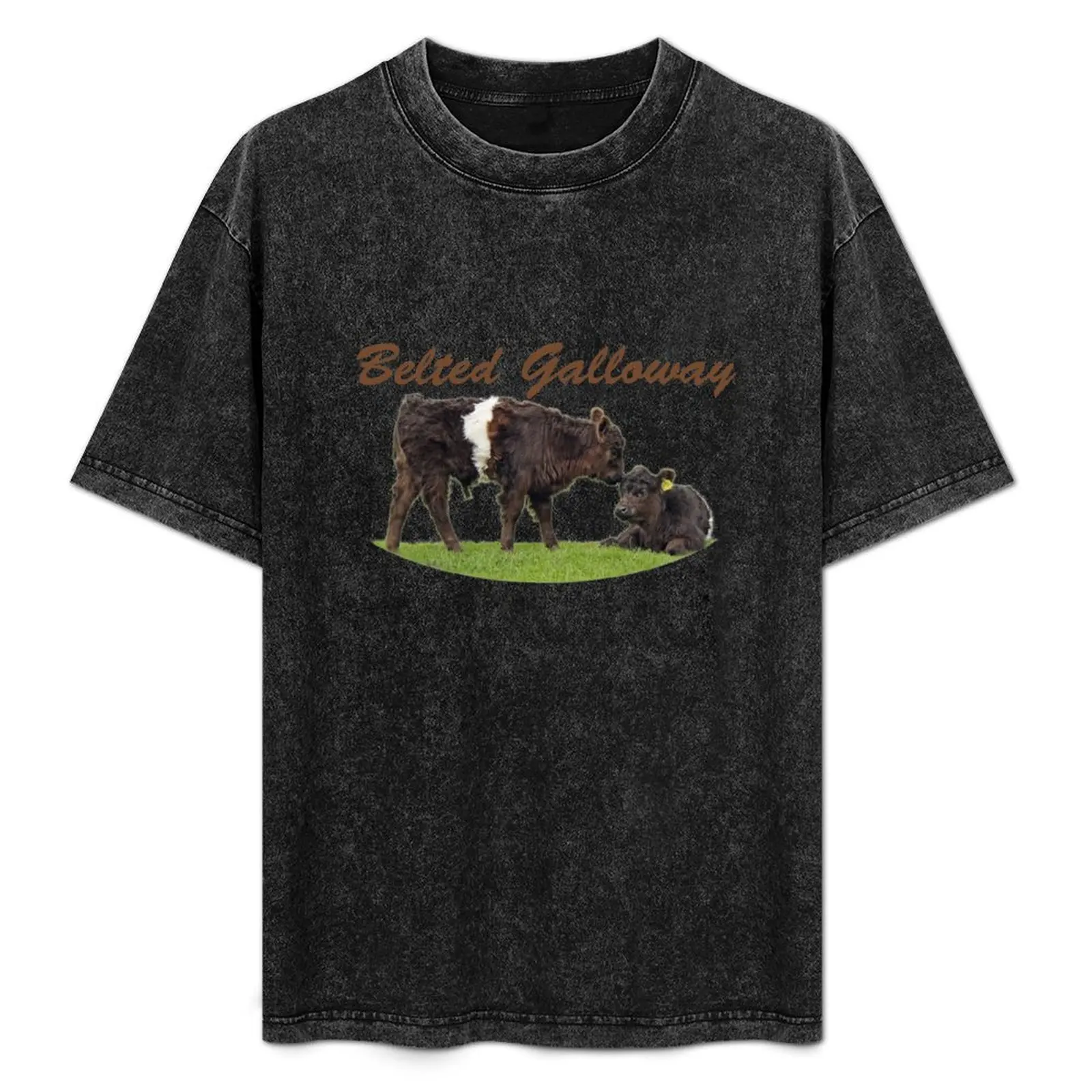 

Belted Galloway T-Shirt No Iron Casual Short Sleeve Top
