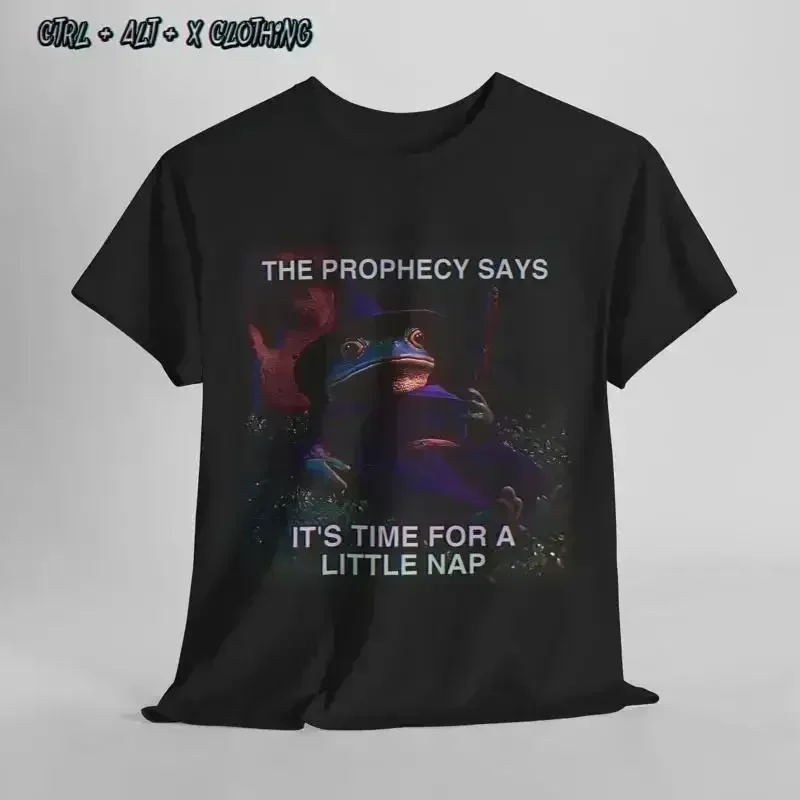 Frog Meme T Shirt Funny Animal for Nap Lovers Prophecy