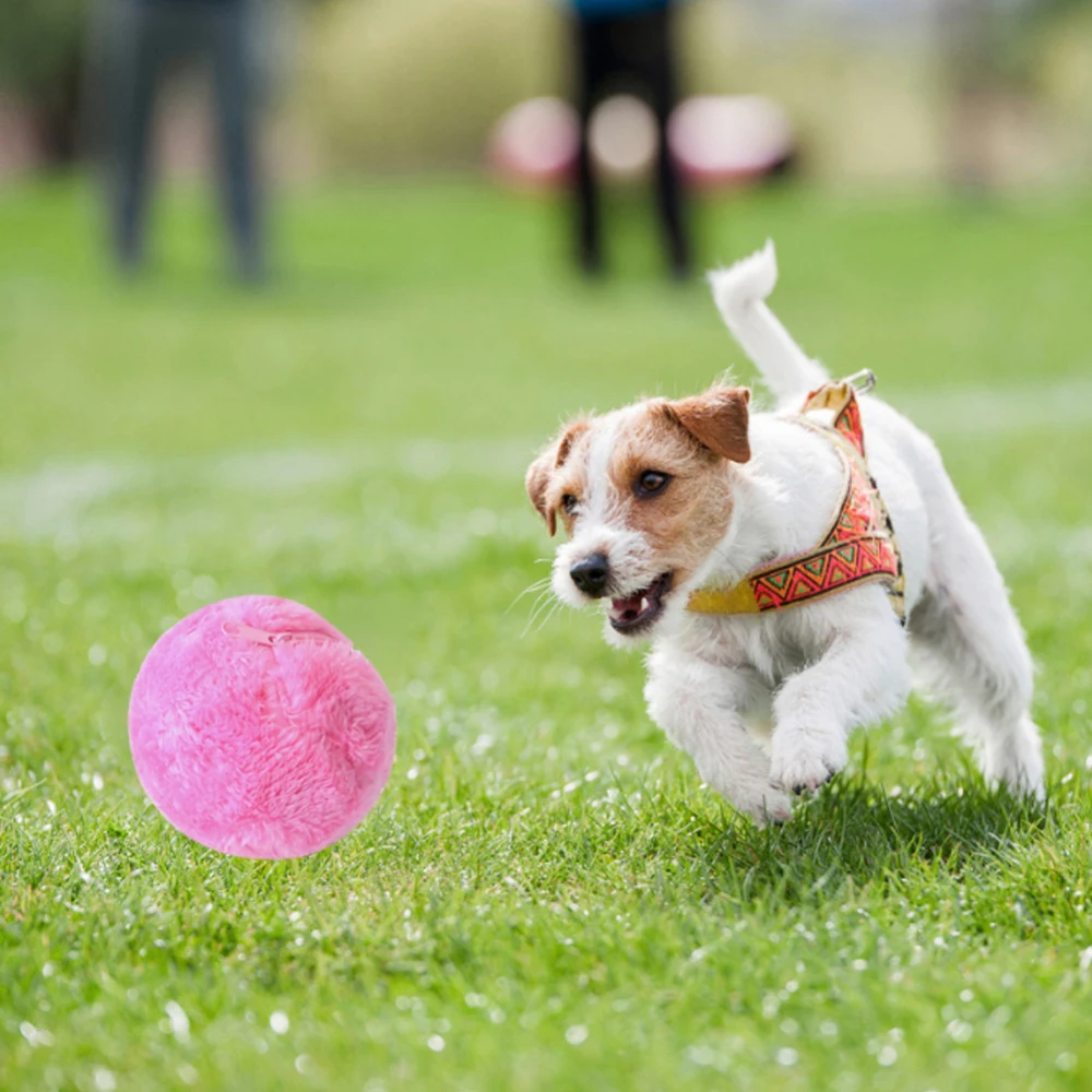 Magic Roller Ball Toy Activation Ball Cat Toys Interactive Chew Plush Electric Rolling Ball Dog Toys Cat Toys Pet Products