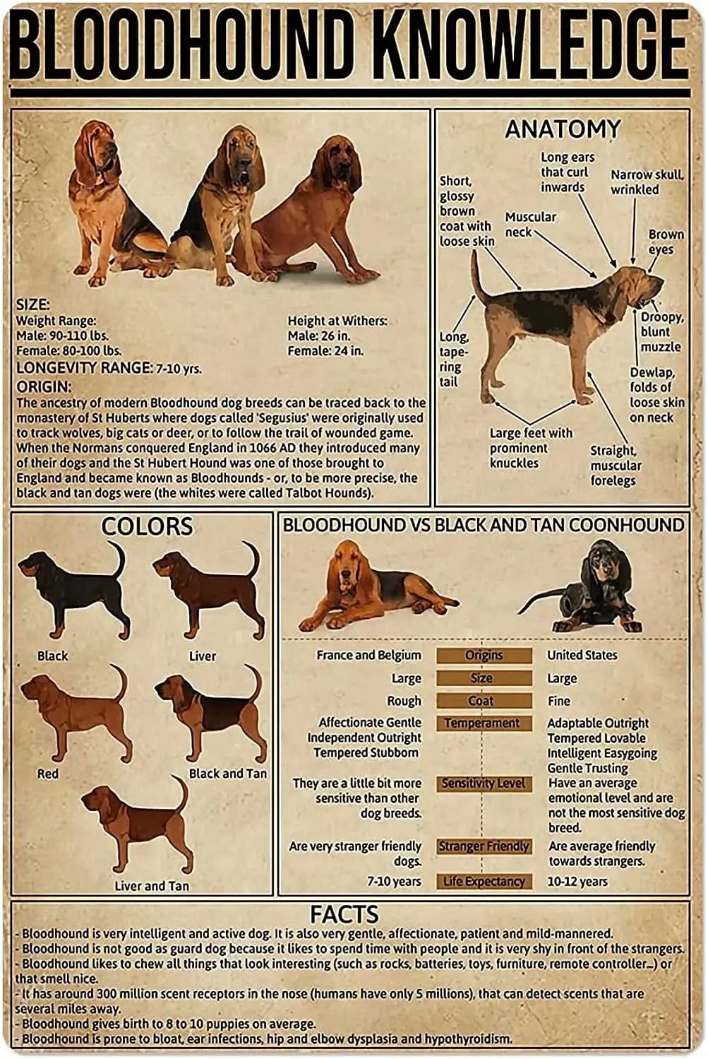 Bloodhound Dog Knowledge Metal Tin Sign Anatomy Of Bloodhound Retro Printing Poster School Cafe Pet Shop Bar Bedroom Bathr sign