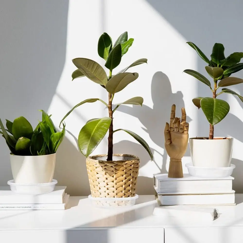 صينية وعاء نباتات بلاستيكية عالية الجودة، صواني تنقيط متينة وواضحة، صينية زهور قوية للنباتات الداخلية والخارجية