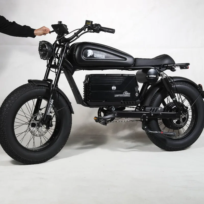 

SXLL 1500W 60Ah electric mountain bike with 48v rear hub motor integrated battery 20 inch design, suitable for adult urban mount