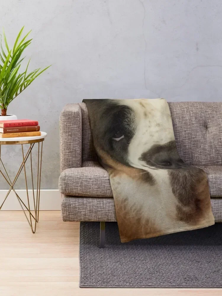 St Bernard dog portrait Throw Blanket Furry Furrys Luxury Blankets