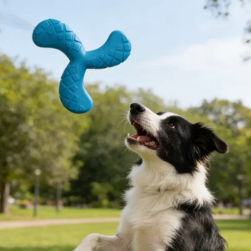 

Dogs Boomerang Flying Disc Play Tooth Chew Toy Indestructible Safe Large Dog Tough Toys Resistant Pet Supplies Water Toys