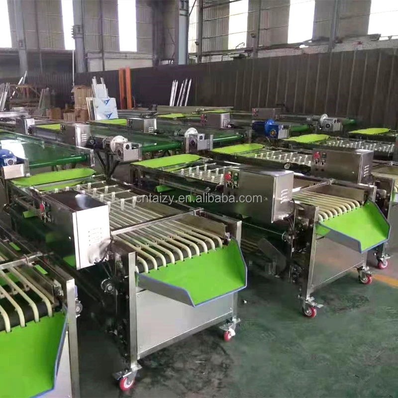 Fruit Vegetable Sorter Potato Tomato Olive Grading Dates Sorting Machine Saudi Arabia Dates Grading Machine