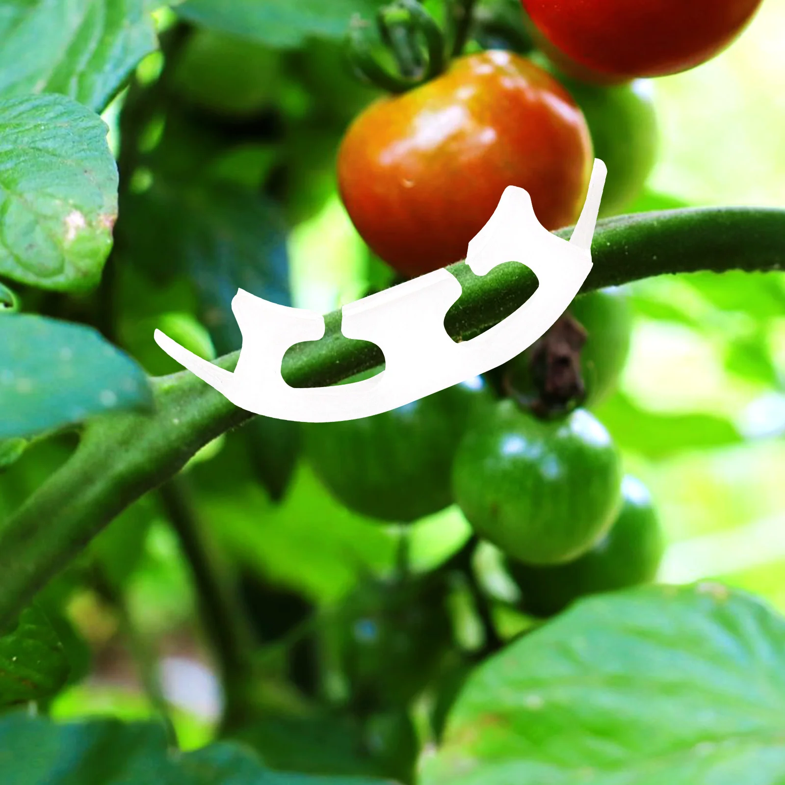 

100pcs Tomato Plant Clips Plastic Adjustable Benders For Garden Support Training Branches Bending Clamps Grow Kit Tools