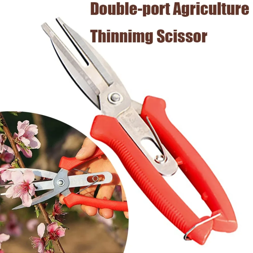 Double-port Agriculture Thinning Scissors Fruit Flower Bonsai thinning Shears Multi-use Pruning Garden Picking Cultivating Tool