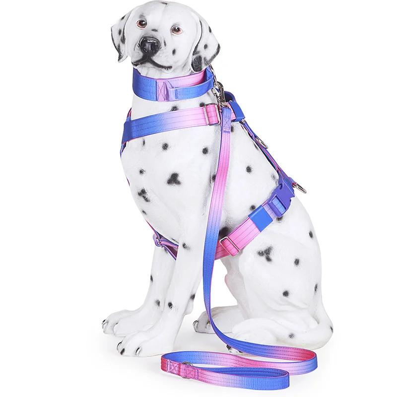 Tactical Dog Harness Dog Leash Collar -No-Pull Outdoor Training Anti-Escape Pet harness Pet Harness Vest for Medium& Large Dogs