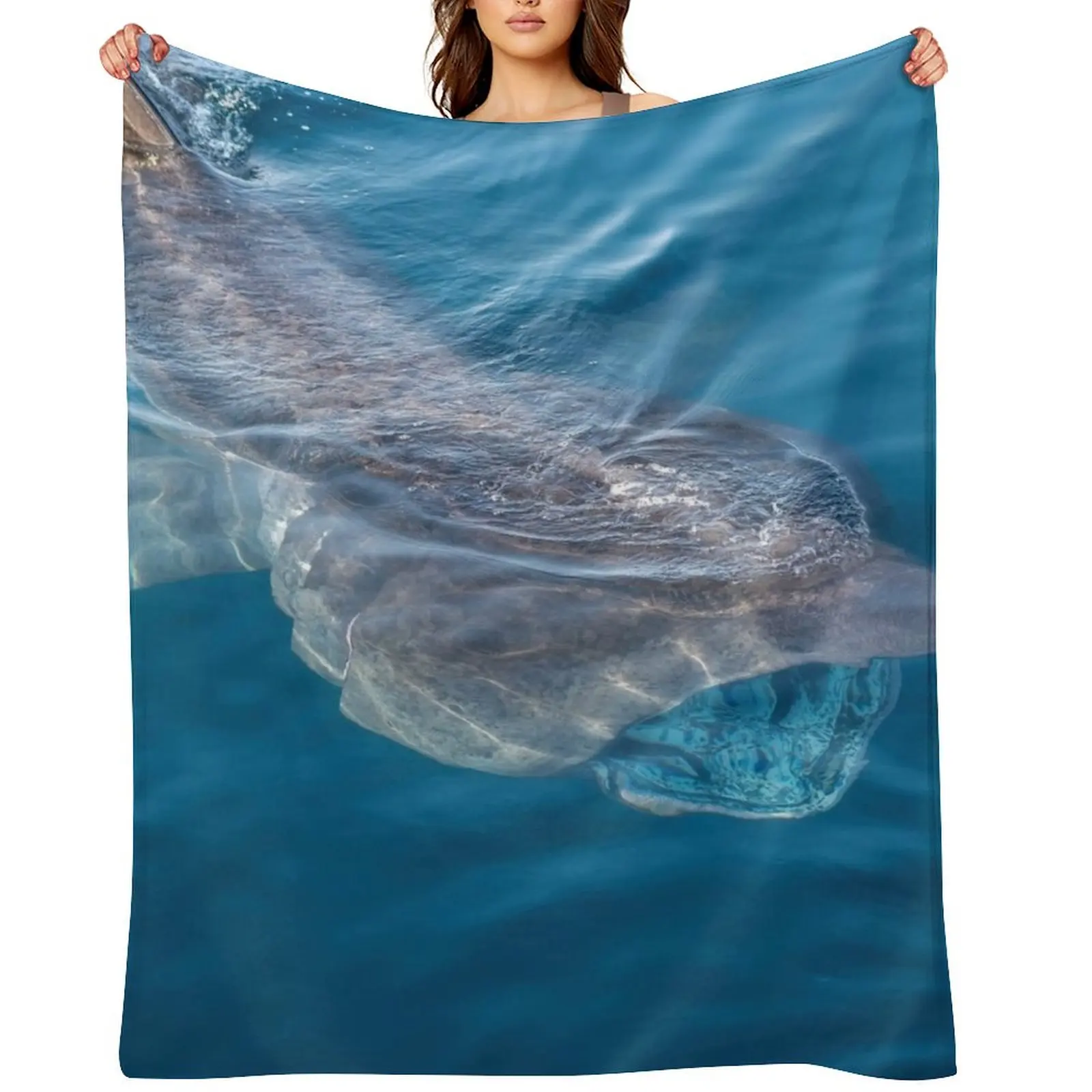 Basking Shark, West Cork, Ireland Throw Blanket Tourist Soft Plush Plaid Flannels Blankets