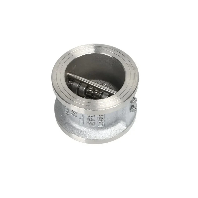 For 304 Stainless Steel Clip-on Check Valve H76W-16P Check Valve DN5080 Corrosion-resistant Slow Closing