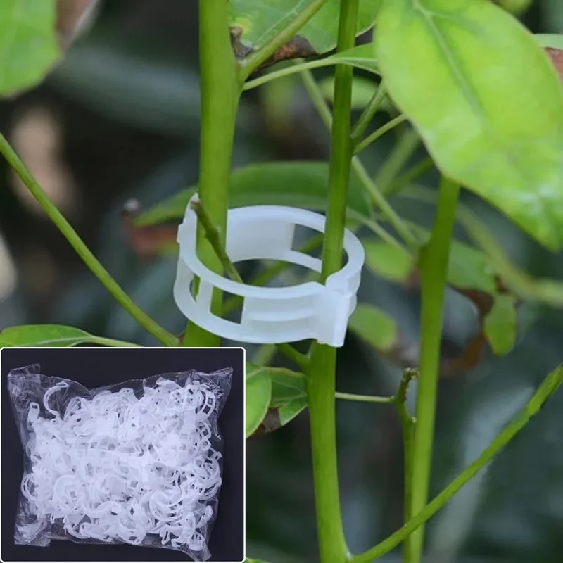 

50/100pcs Plastic Clips Plant Support For Tomato Hanging Trellis Vine Connects Plants Greenhouse Vegetables Garden Ornament