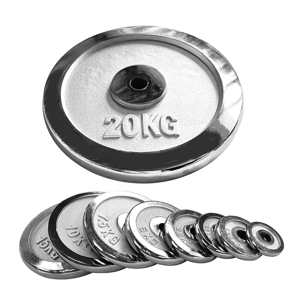 

Fitness Dumbbell Barbell Disc 1 inch Chrome Finished Cast Iron Standard Weight Plates