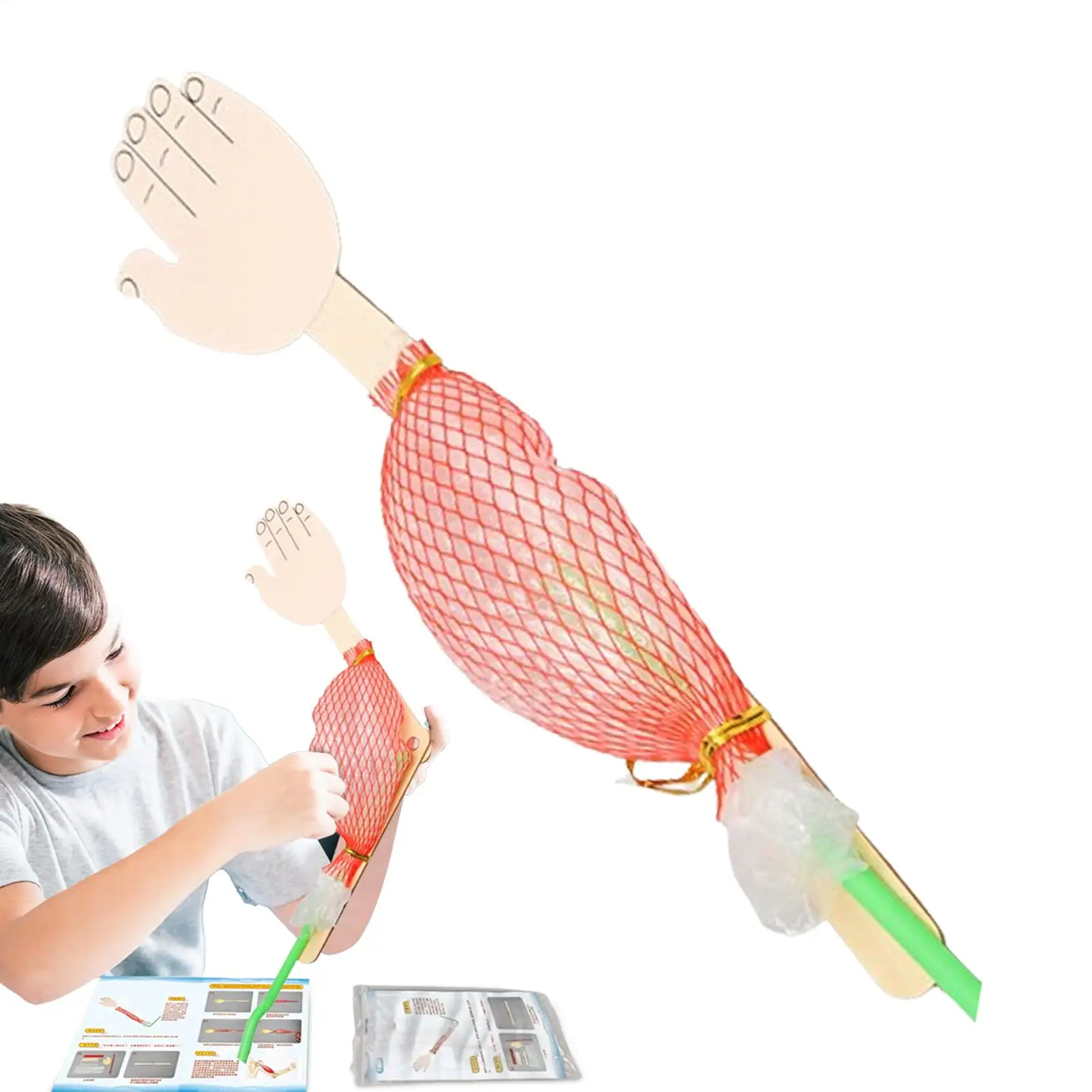 Interactive Science Project Toy Biological Science Model Science Experiment Toy For Projects Kids Learning Early Educational Toy