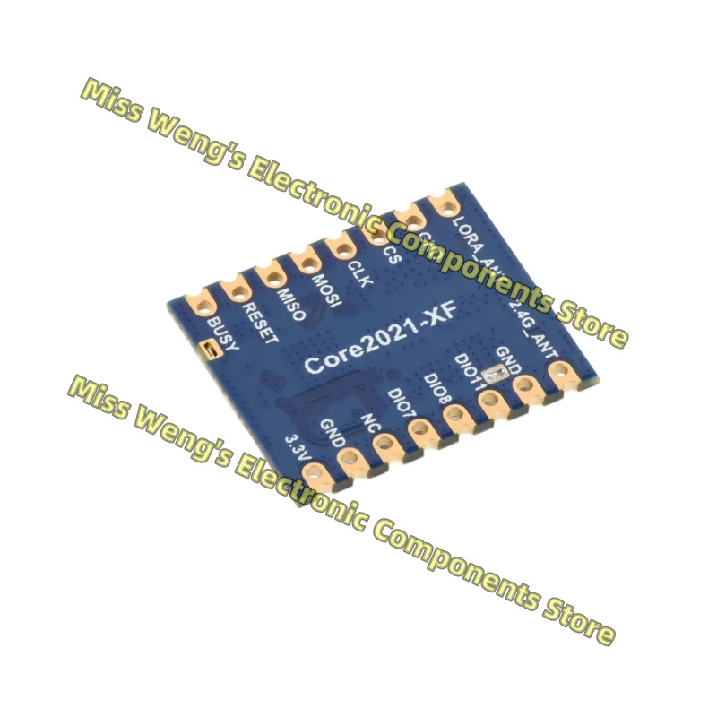 Core2021-HF LoRa dual band module IoT uses LR2021 chip up to 2.6Mbps