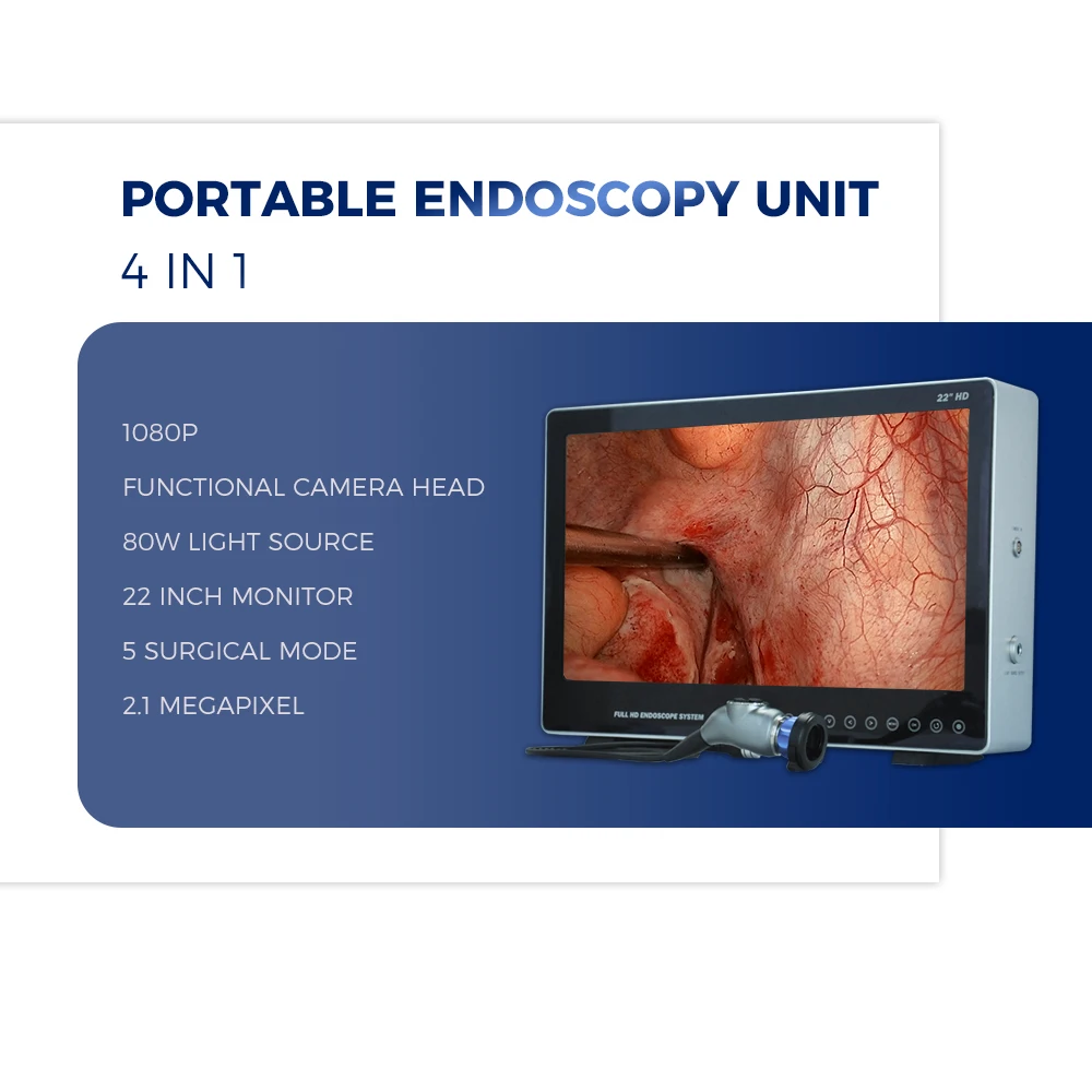 2026 New Endoscope Storage Cabinet Flexible Endoscope Storage Cabinet Vertical Hang Mode Price For Sale