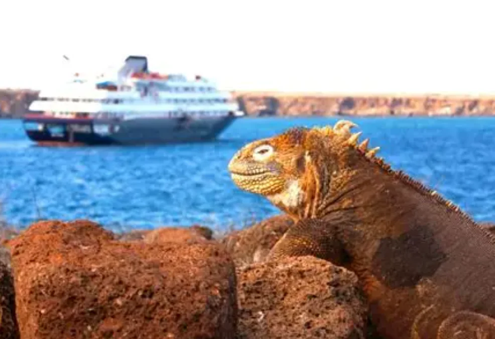 

BETAFPV SuperP 14CH/SuperD ELRS 915M/2.4G Diversity Receiver Compatible with RC Model Multi rotor Fixed Wing