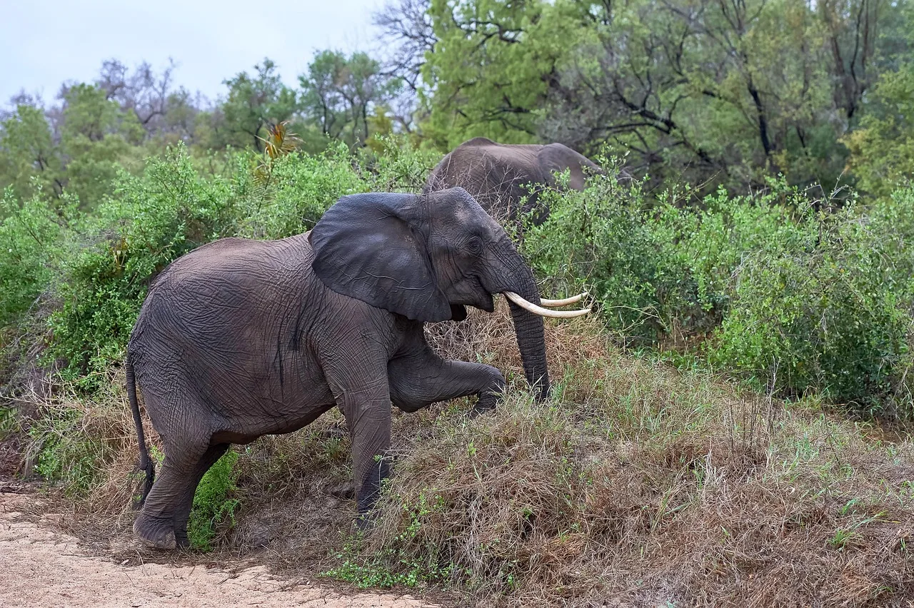 10A 30A 40A 50A 80A…