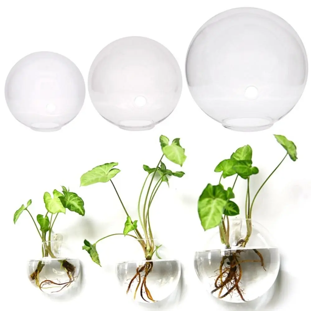 Transparent Glass Vase Wall Hanging Hydroponic Terrarium Fish Tanks Potted Plant Flower Pot Dia 8cm/10cm/12cm/13cm/15cm