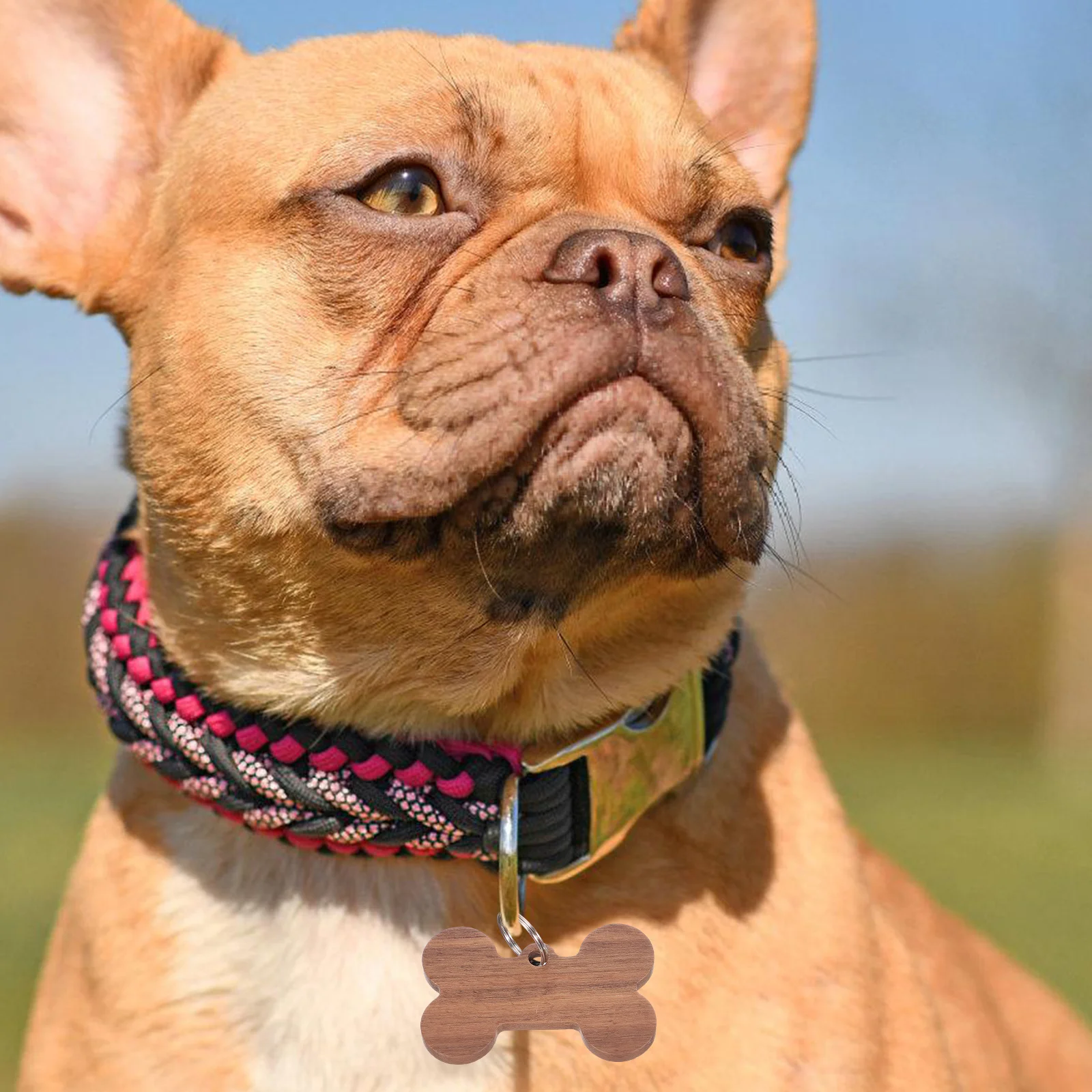 

3pcs Wood Pet Bone Dog Tag Name Id Engraved Lightweight Durable Decorative Accessories For Dogs Shaped Pendant Tags