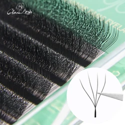 Glamlash 4D W Shape Easy Grafting Eyelashes Soft and Create Blooming Eyelashes Easily