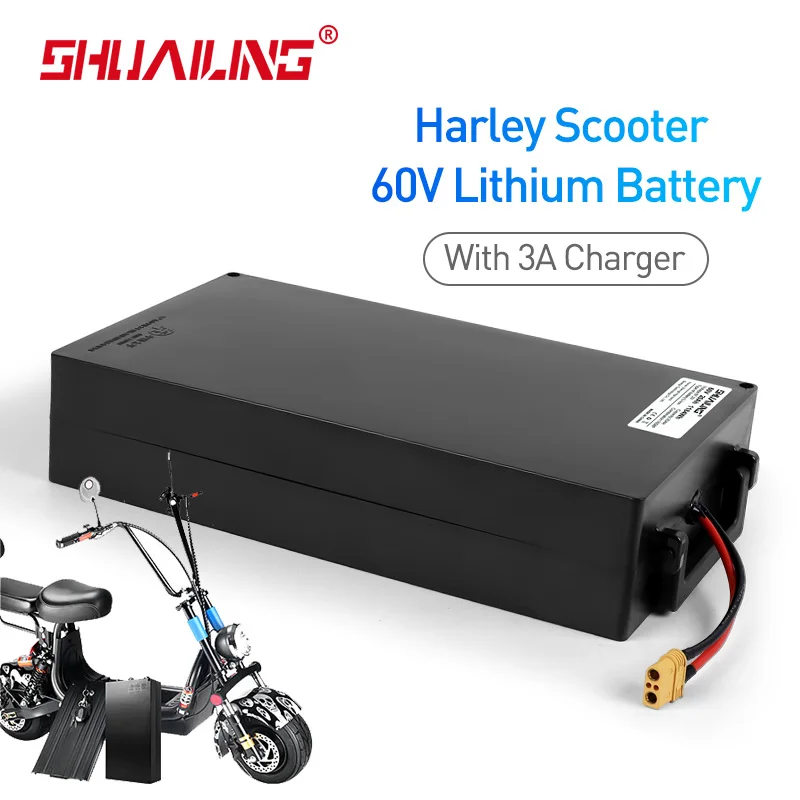 

60V 25Ah Electric Bike Battery 18650 Li-ion Battery 1500W 1800W BMS Protection 30A Electric Scooter Citycoco With 3A Charger