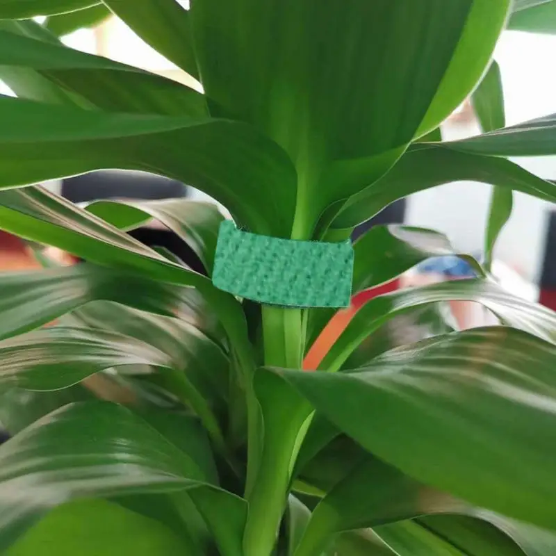 Gardening Tape Plant Twist Tie Adjustable Thickened Nylon Reusable 16.4 Ft X 0.59 Inch Supports Plants And Vines For Tree