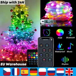 Rgb ic natal luz da corda usb luzes de fadas bluetooth couro mágico app controle música casamento lâmpada ao ar livre à prova dwaterproof água