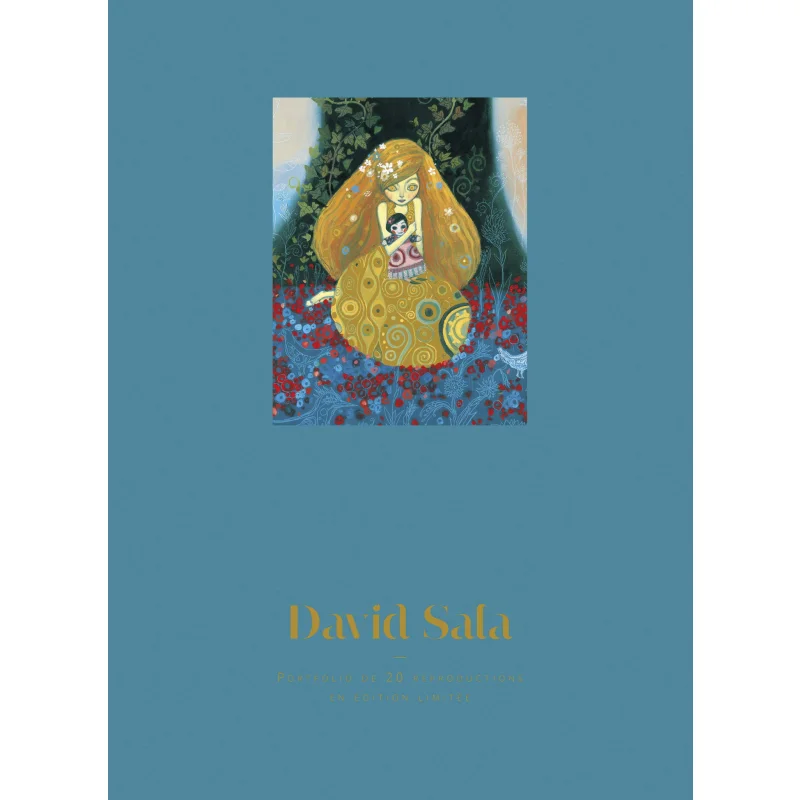 

David Sala Sala David Casterman 9782203097353 Book