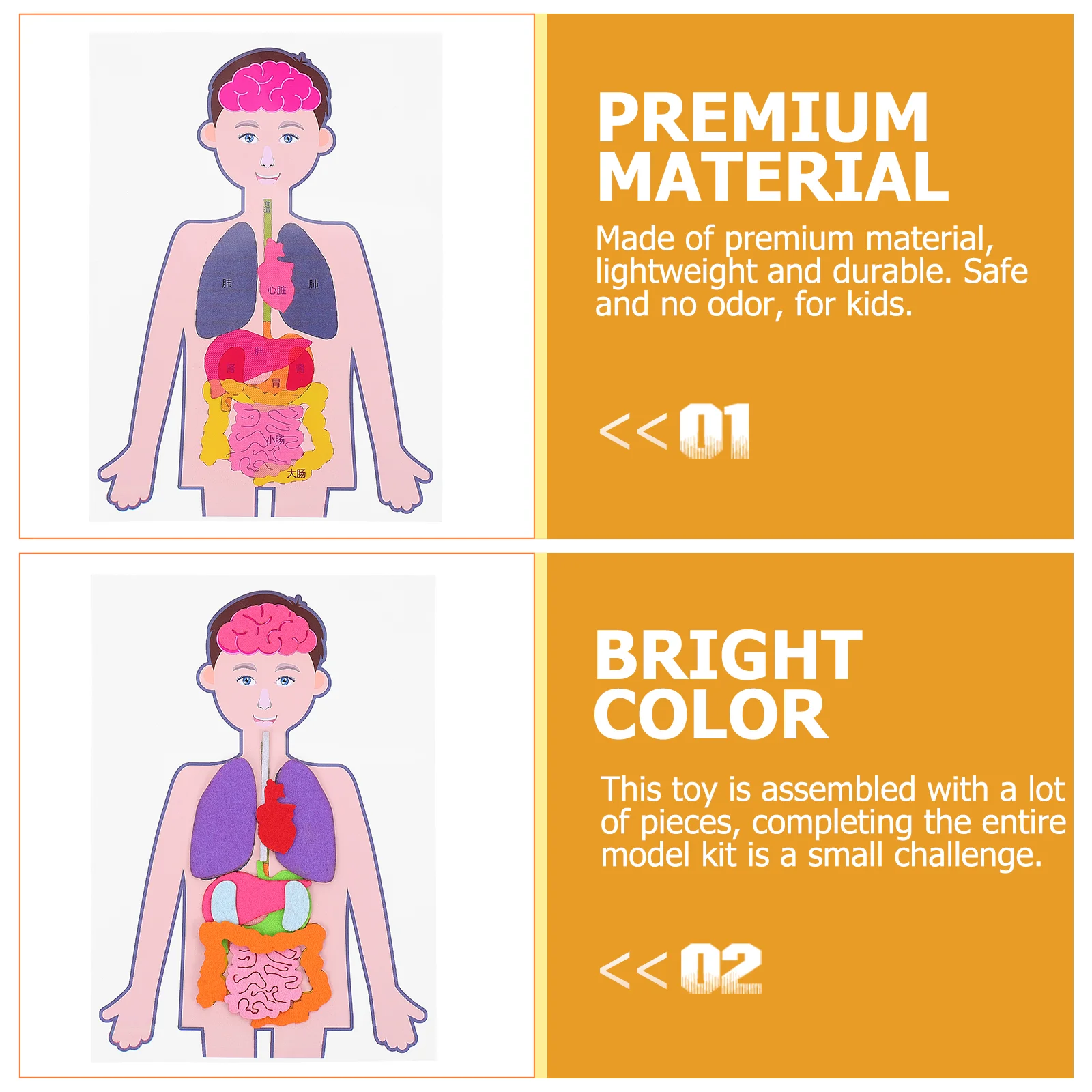 2 zestawy dla dzieci ludzkie ciało pomoce nauczycielskie praktyczne zabawki edukacyjne model tułowia zabawki poznawcze DIY organy tkaniny