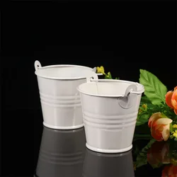 12 Pcs Succulent Planters Small Iron Bucket Metal Planting Flower Pot with Handle White Child